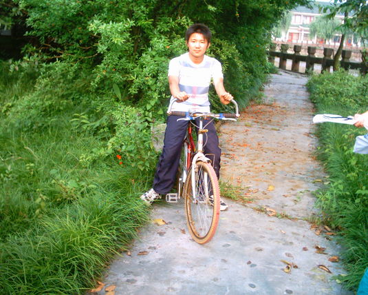 2006  (79)
